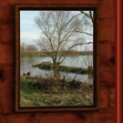 Galeria "Sanok wiosn"