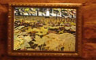 Galeria "Sanok jesieni"